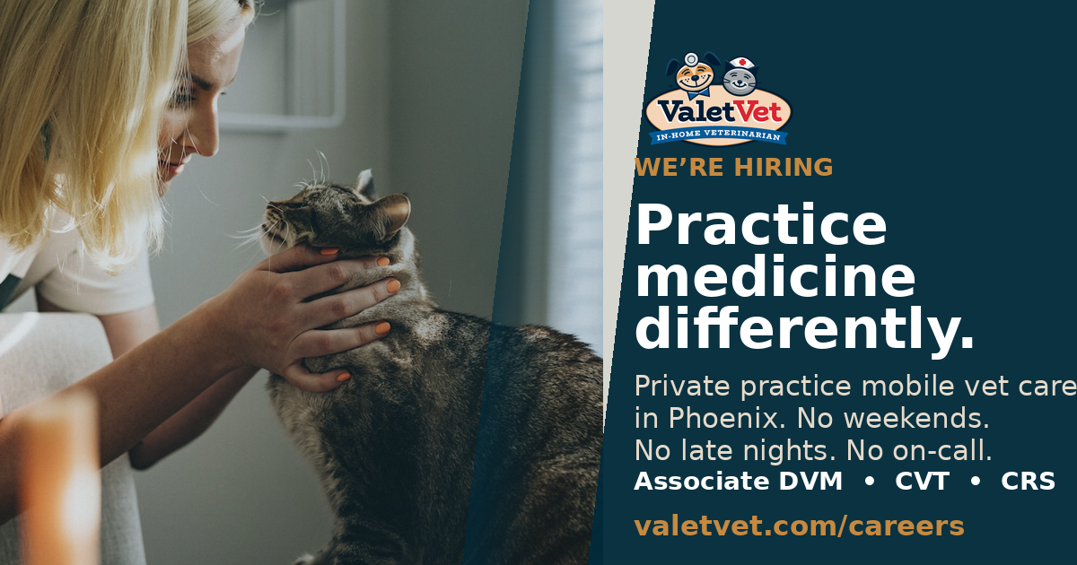 Valet Vet careers social sharing preview