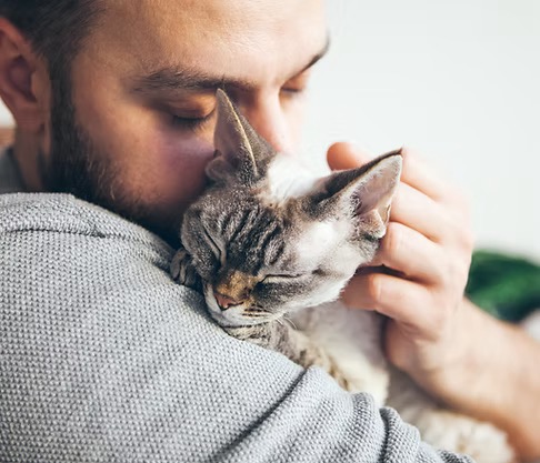 Man holding cat — gentle farewell